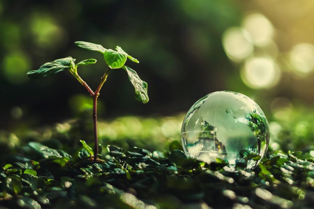 sustentabilidade na produção de macarrão